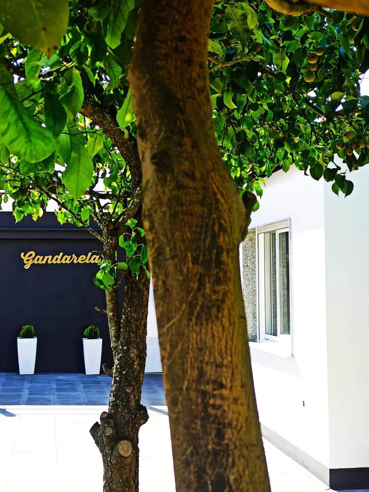 Apartamentos Vut Gandarela Sanxenxo Ngoại thất bức ảnh